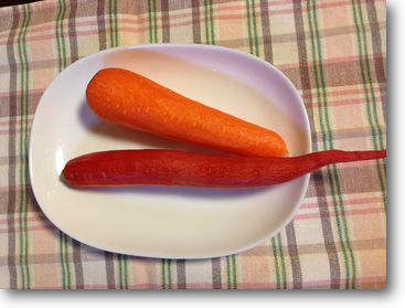 the red Kyoto carrot