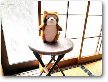 Rascal the Raccoon Rascal the Raccoon