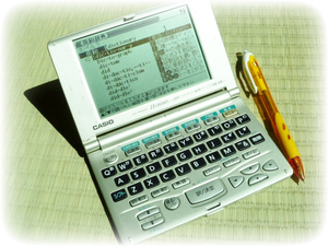 Electronic dictionary